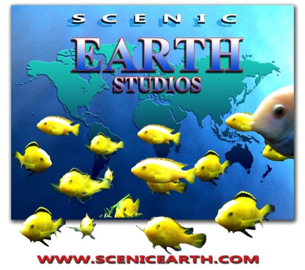 Scenic Earth Studios Fine Art Gallery