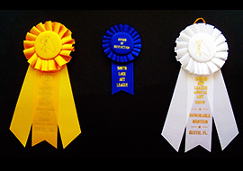 A showcase of prize award ribbons won from various art shows by Artist Rick Short