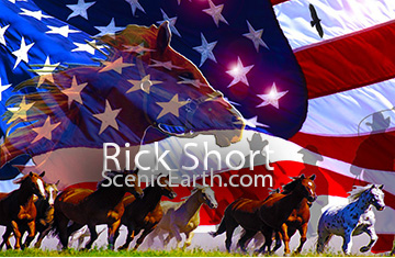 The Spirit of America