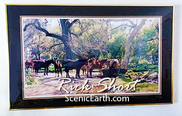 The Watering Hole - A photograph of a group of horses gathered at a watering trough in Three Rivers, California.